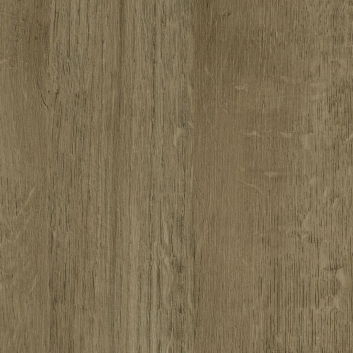 Hamilton Oak Effect